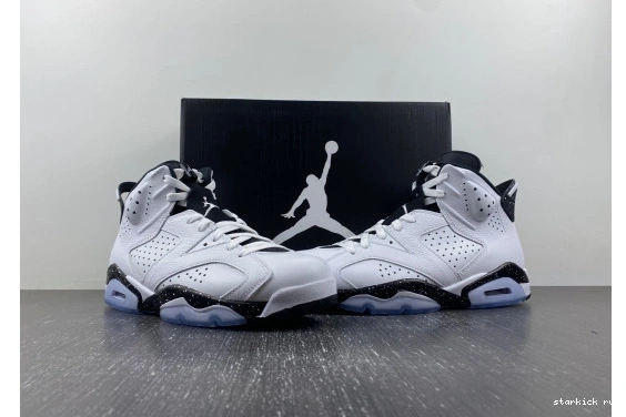 6 Reverse Jordan  CT8529-112 CT8529-112 Retro Oreo 0815
